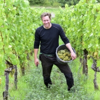 Weinbau Kraemer